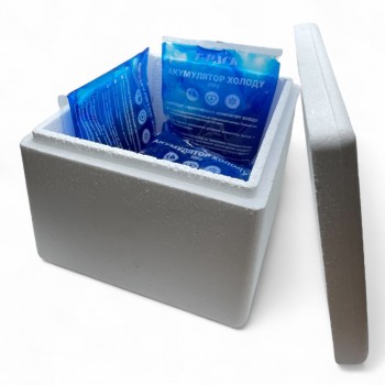 Термоконтейнер 4 л с аккумуляторами холода 4 шт по 250 мл - комплект для перевозки замороженных продуктов, лекарств, еды