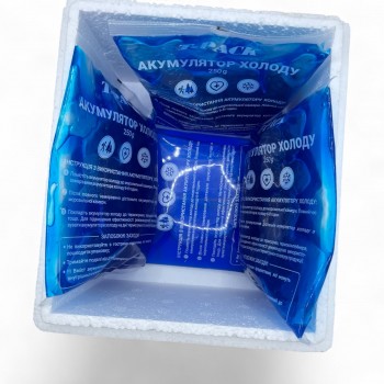 Термоконтейнер 4 л с аккумуляторами холода 4 шт по 250 мл - комплект для перевозки замороженных продуктов, лекарств, еды